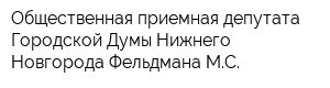 Общественная приемная депутата Городской Думы Нижнего Новгорода Фельдмана МС