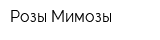 Розы-Мимозы