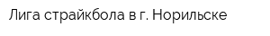 Лига страйкбола в г Норильске