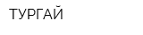 ТУРГАЙ