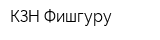 КЗН-Фишгуру