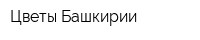 Цветы Башкирии