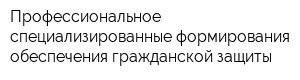 Профессиональное специализированные формирования обеспечения гражданской защиты