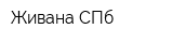 Живана СПб