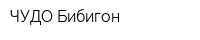 ЧУДО Бибигон