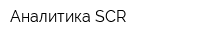 Аналитика SСR