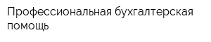Профессиональная бухгалтерская помощь
