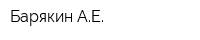 Барякин АЕ