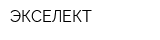 ЭКСЕЛЕКТ