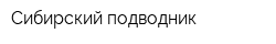 Сибирский подводник