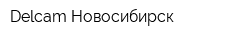 Delcam-Новосибирск