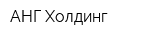АНГ-Холдинг