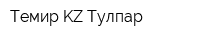 Темир KZ Тулпар