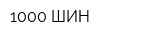 1000 ШИН