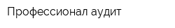 Профессионал аудит