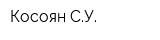 Косоян СУ