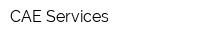 CAE-Services