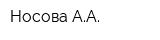 Носова АА