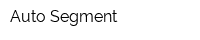 Auto Segment