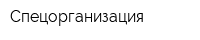 Спецорганизация