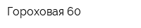 Гороховая 60
