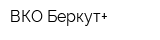 ВКО Беркут+