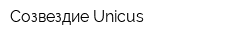 Созвездие Unicus