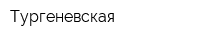 Тургеневская