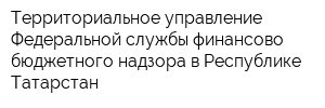 Территориальное управление Федеральной службы финансово-бюджетного надзора в Республике Татарстан