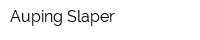 Auping Slaper