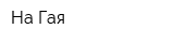 На Гая