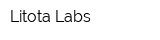 Litota Labs