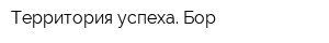 Территория успеха Бор
