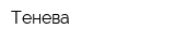 Тенева
