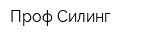 Проф-Силинг