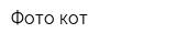 Фото кот