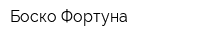 Боско Фортуна