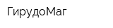 ГирудоМаг