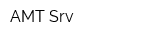АМТ Srv