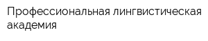Профессиональная лингвистическая академия