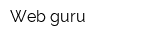 Web-guru