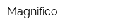 Magnifico