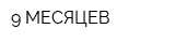 9 МЕСЯЦЕВ