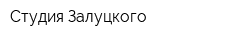 Студия Залуцкого