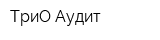 ТриО-Аудит