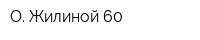 О Жилиной 60