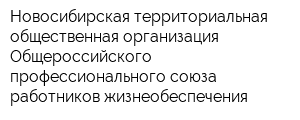 Новосибирская территориальная общественная организация Общероссийского профессионального союза работников жизнеобеспечения