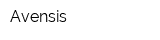 Avensis