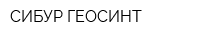 СИБУР ГЕОСИНТ