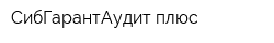 СибГарантАудит плюс